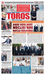 TOROS