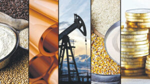 ERZURUM BB, KARLA MÜCADELEDE KULLANILMAK ÜZERE TUZ TEMİN EDECEK