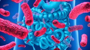 Bağırsaklarınızdaki iyi bakterileri nasıl korursunuz?