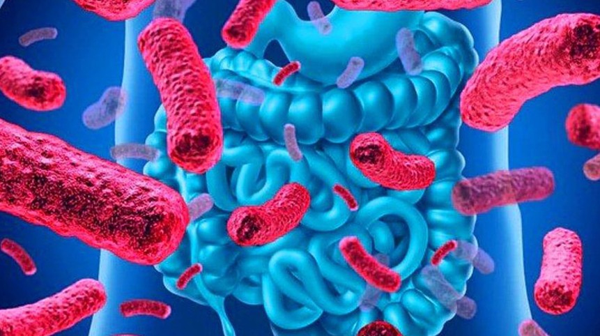 Bağırsaklarınızdaki iyi bakterileri nasıl korursunuz?