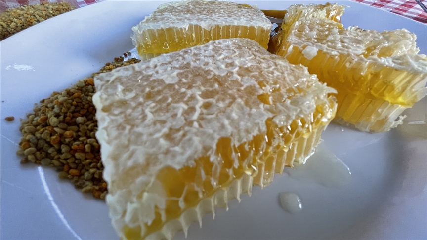 Yenice Ihlamur Balı AB’den Coğrafi İşaret Tescili Aldı