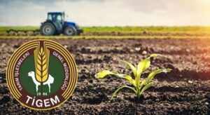 TİGEM Kimyevi Gübre İhalesi Açtı