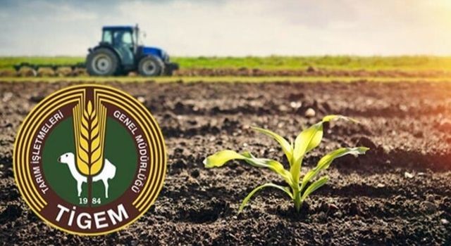 TİGEM Kimyevi Gübre İhalesi Açtı