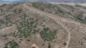 Çekerek NHRP Kapsamındaki Göletlerin Rehabilitasyon Proje Yapımı İşlerini Kazanan Belli Oldu…