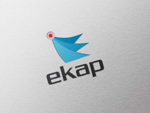 Ekap Mal İhaleleri (29.07.2026)